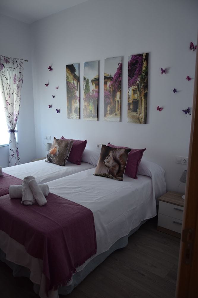 Apartamentos Coso De San Albin