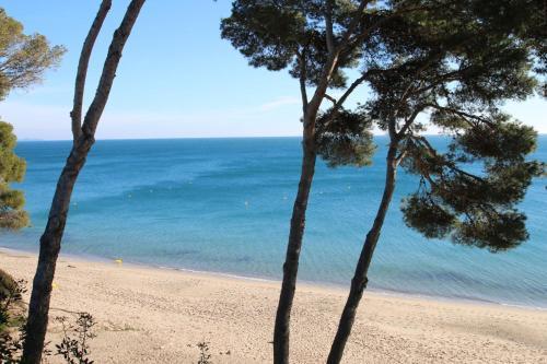 Apartamento Villa Jardin