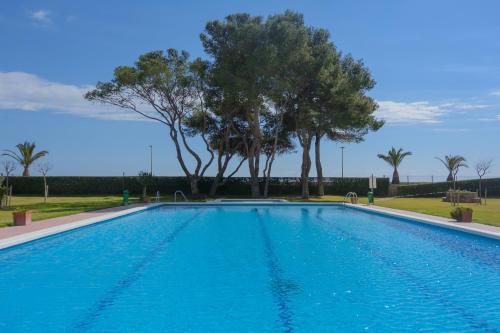 Apartamento Guardamar Playa