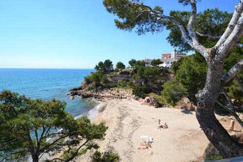 Apartamento Wvp - Llanca