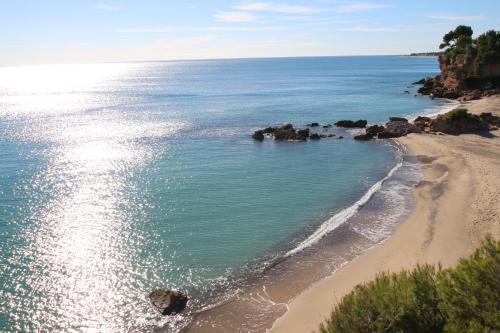 Palm Beach 8
