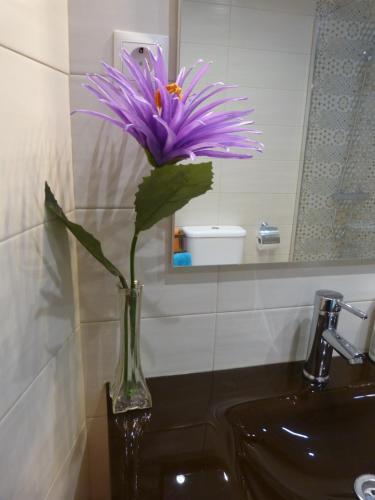 Apartamento Calahonda/marbella