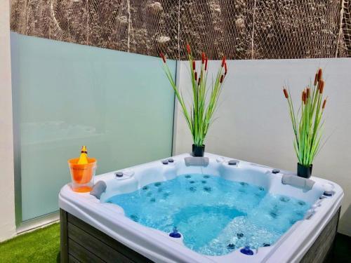 Apartamento Amadores C&h Suite