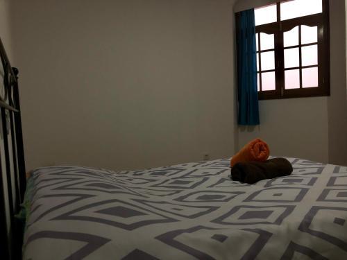Apartamentos Acor�n Mog�n