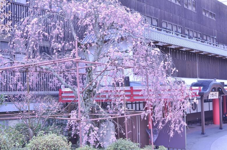 Hotel Arima Kirari