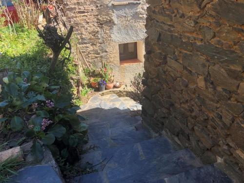 El Celler Del Baies