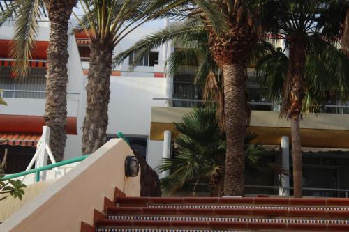 Apartamento Bentejui