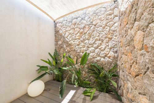 Villa Short De Can Rius