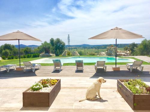 Villa Paradise