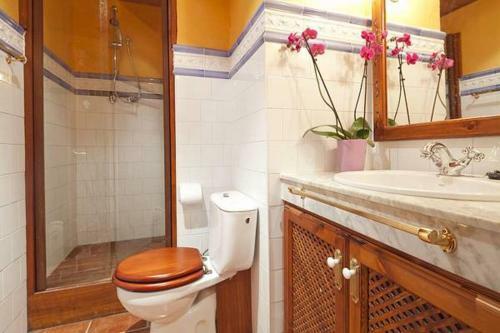 Apartamentos Tanau V