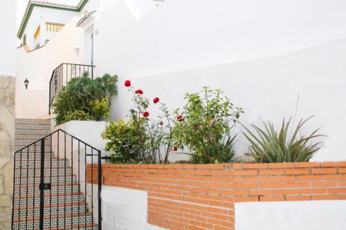 Apartment Kika Spainsunrentals 1010