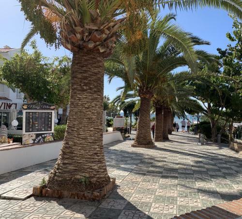 Apartamento Sirena