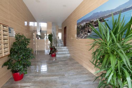 Apartamento Edf. Gaviota 3�2