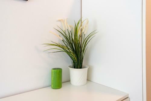Apartamento Studios Nerja Center C