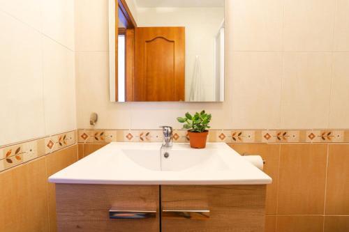 Apartamento Papillon 6