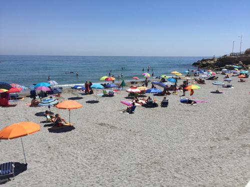 Andaluz Apartments - Neptuno