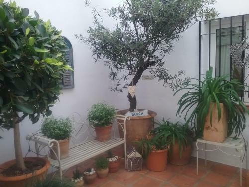 Apartamento Ladera Pasillo Andaluz 7