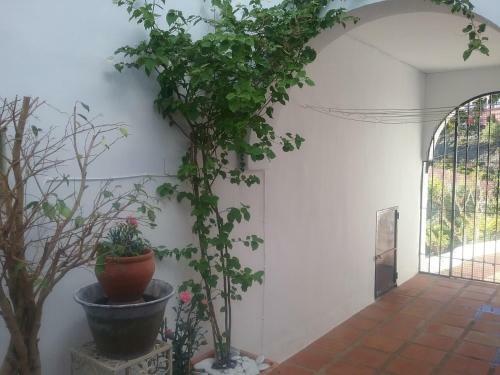 Apartamento Ladera Pasillo Andaluz 7