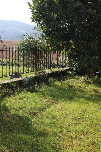 Apartamento Neckar