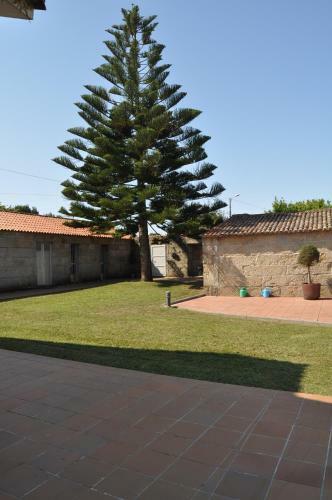 Casa Aurea De Cacheiras