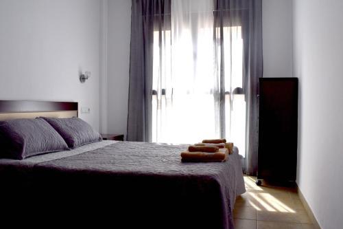 Apartamento Playa Oliva