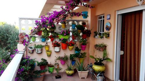 Holiday Home Carrer D'avinyo