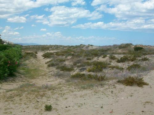 Roderic - Apartamento Junto Al Mar