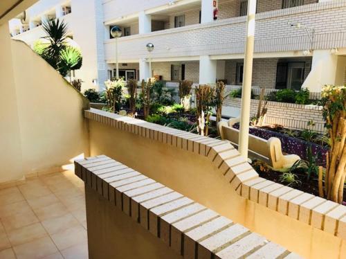 Apartamento Deluxe Bajo