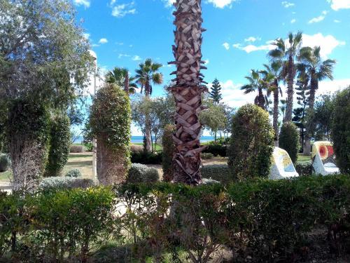 Apartamento Acv - Vistamar Ii-1� L�nea Planta 5 Sur