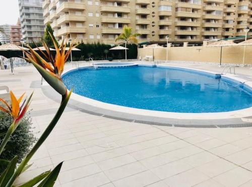 Apartamentos Boutique Cala Blanca