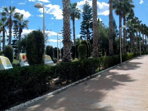 Apartamento Acv - Vistamar Iii-1� L�nea Planta 8 Sur