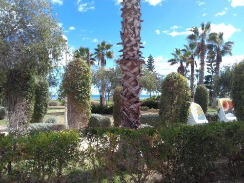 Apartamento Acv - Vistamar Iii-1� L�nea Planta 8 Sur