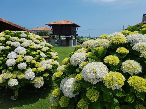 Agroturismo Cai Llope