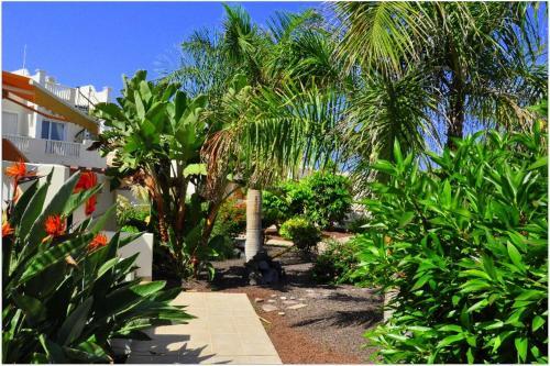 Apartamento Townhouse In Palm Mar Pm/182