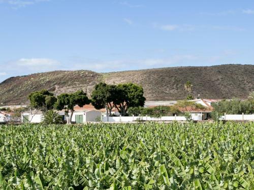 Holiday Home El Laurel