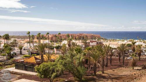 Apartment In Palm Mar Pm/195