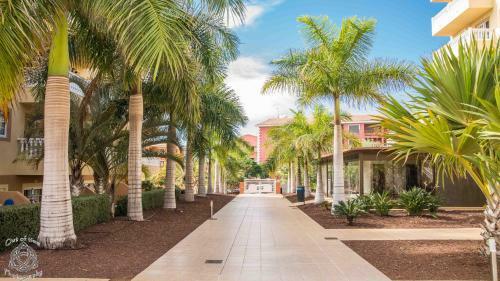 Apartment In Palm Mar Pm/195