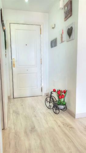 Apartamento Ocean Hillside