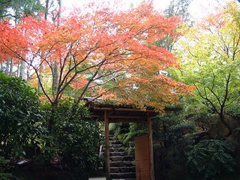 Hotel Nakanobo Zui En