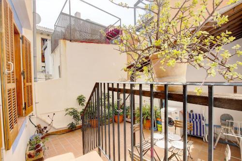 Apartamento Col�n