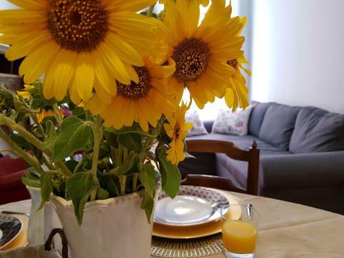 Apartamento City Beauty