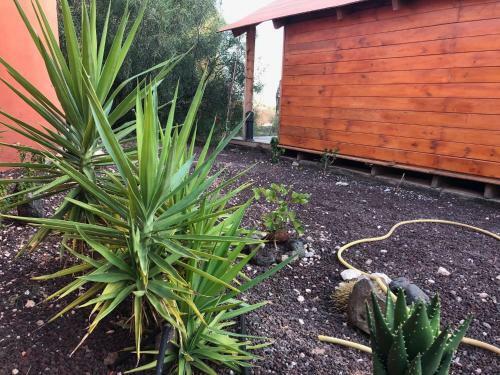Holiday Home Calle Begonia