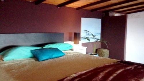 Villa Calle Begonia