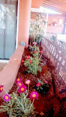 Villa Calle Begonia