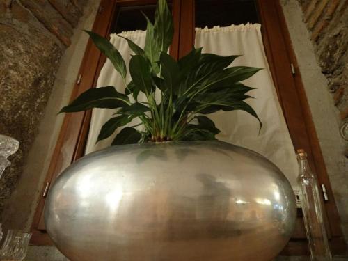 Hotel Rural Cayetana