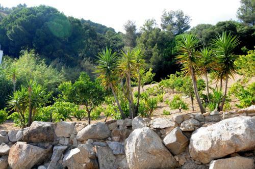 Homeholidaysrentals Le Vinya