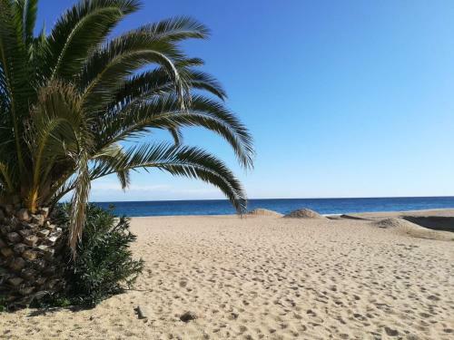 Apartamento Ely Palace 11 Playa De Aro