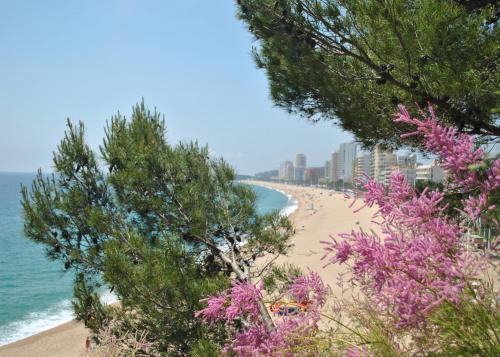 Apartamento Cavall Bernat Platja D'aro