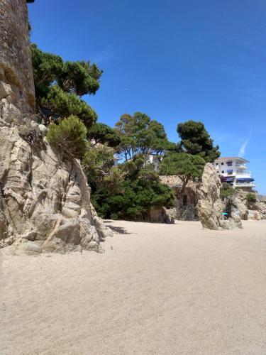 Apartamento Cavall Bernat Platja D'aro