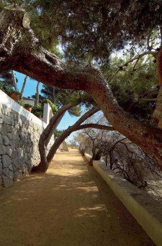Apartamento Cavall Bernat Platja D'aro